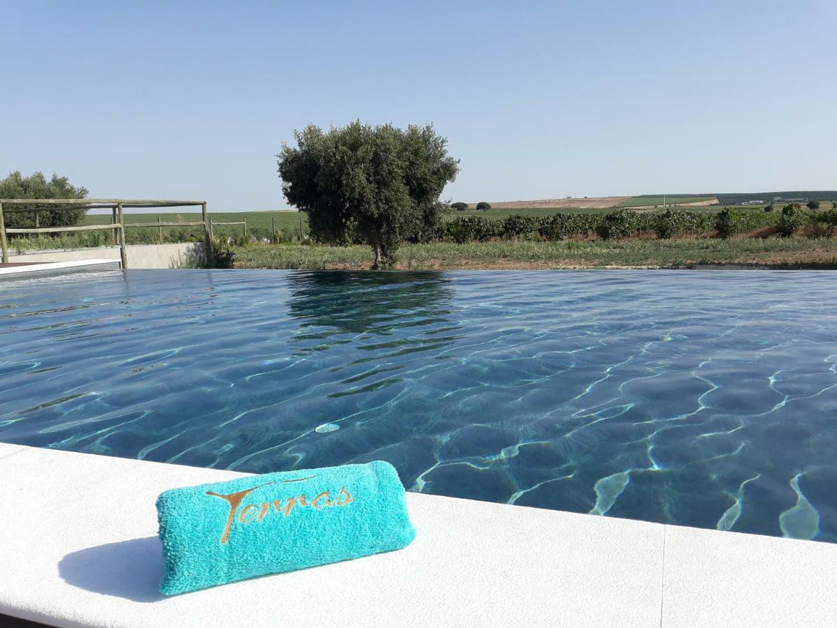 Terras - Agroturismo & Vinhos Бежа Экстерьер фото
